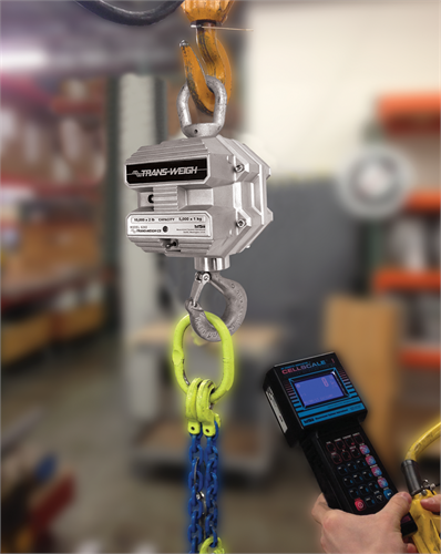 MSI-9750A CellScale™ RF Portable Indicator - Imagen 2