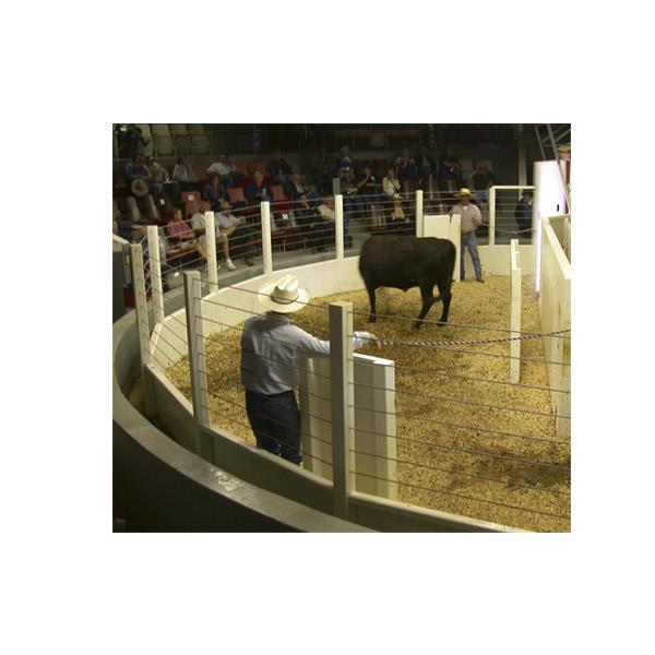 SURVIVOR® LV Livestock Ring Scale