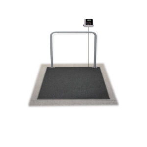Dialysis Wheelchair Scale SD 1150 WP