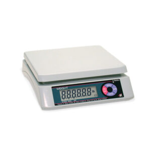 Ishida iPC Series Portable Bench Scale